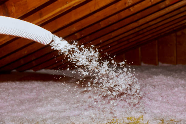 Best Cellulose Insulation in Southern Shores, NC